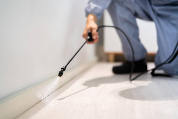 Licensed Rodent Control service in St. John the Baptist Parish County, LA - Nex Pest Control